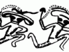 27-fig 2  _gif